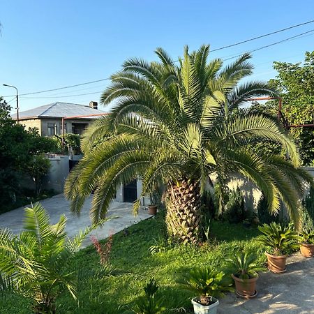 Greenview Guesthouse 바투미 외부 사진