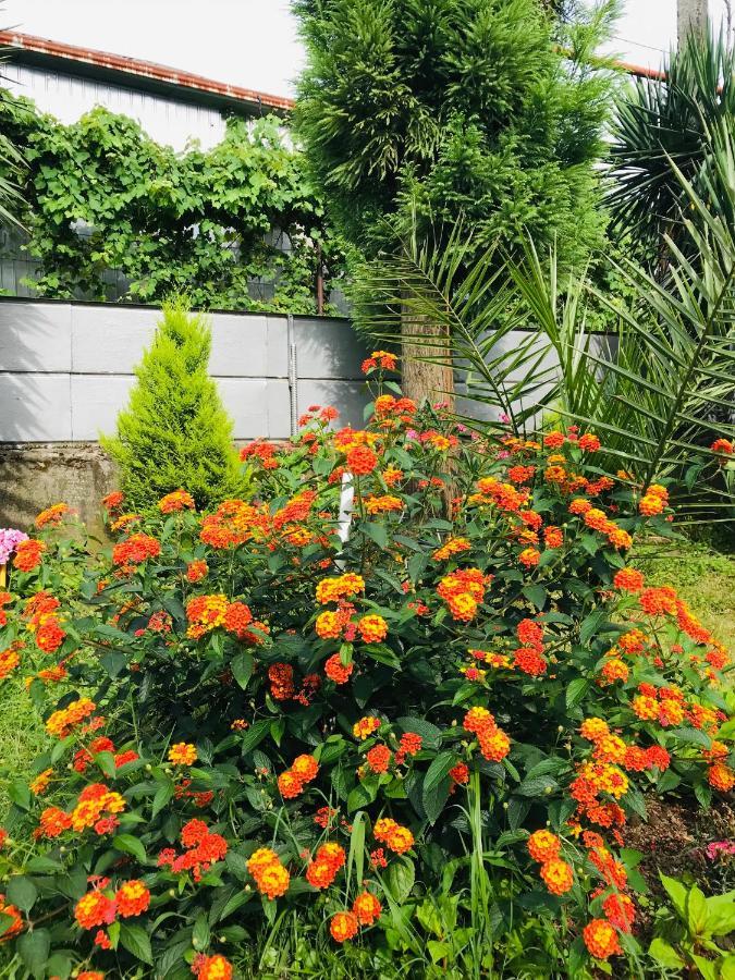 Greenview Guesthouse 바투미 외부 사진
